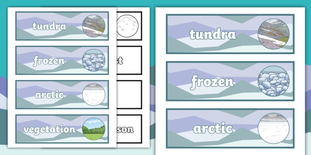 Tundra Biome Word Cards
