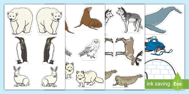 Arctic Animals Activities - Planning Playtime