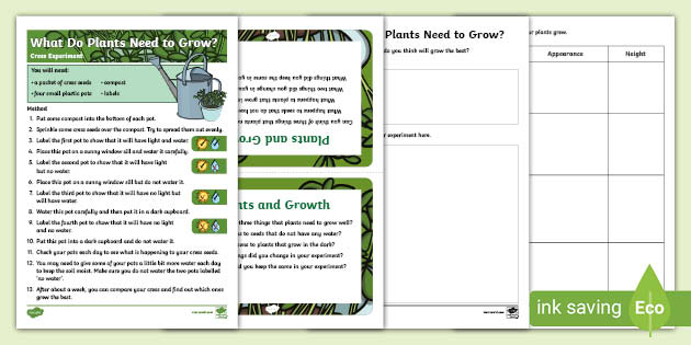 Cress Experiment KS1 Resource: What Do Plants Need to Grow?