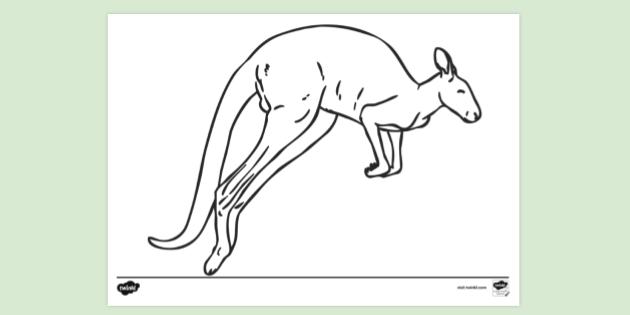 FREE! - Red Kangaroo Colouring | Colouring Sheets