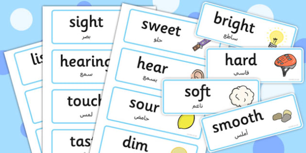 Free Senses Topic Words Arabic Translation Teacher Made 7522