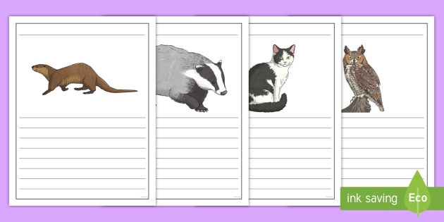 Nocturnal Animal Writing Frames Teacher Made Nocturnal Animal Writing Frames Teacher Made