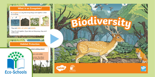 FREE! - Eco-Schools Biodiversity KS2 PowerPoint