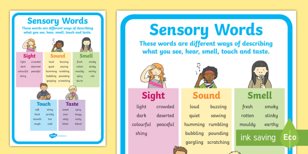 Sensory Words Display Poster (Teacher-Made) - Twinkl