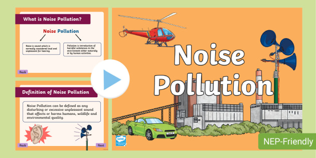 sound pollution assignment