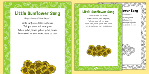 Little Sunflower Song (teacher made)