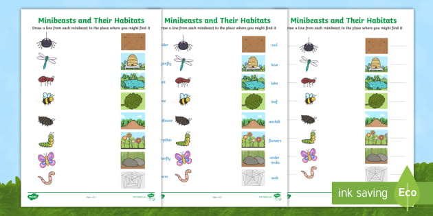 Minibeasts and their Habitats Worksheet - minibeast habitats worksheets