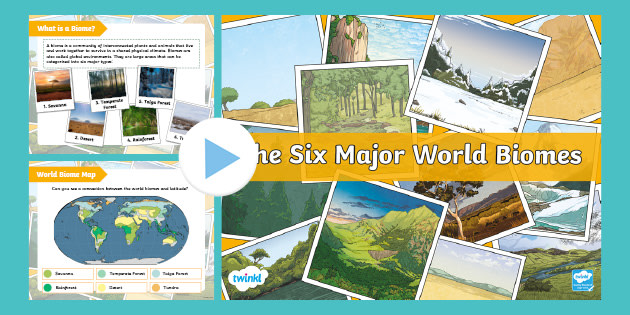 The Six Major World Biomes Global Environments Adaptations