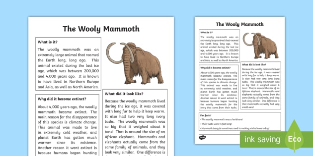 All About The Woolly Mammoth Fact File - Great Canadian Animals