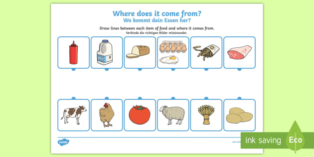 where-does-food-come-from-worksheet-worksheet-english-german-where