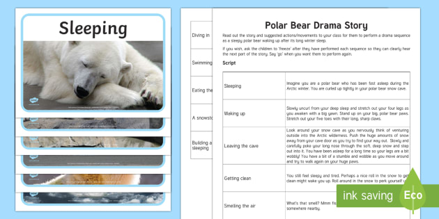 Polar Bear Drama Story (teacher made)