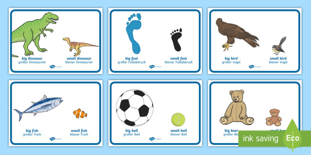 Big and Little Comparison Display Posters English/German