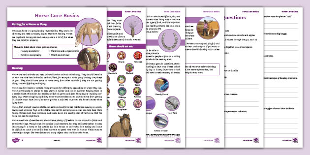 horse care basics differentiated reading comprehension