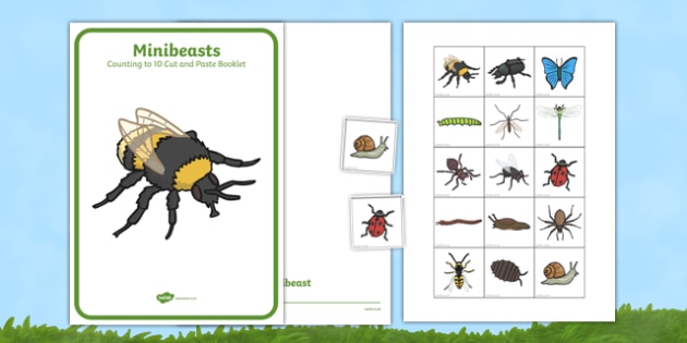 Minibeast Counting to 10 Cut and Paste Booklet