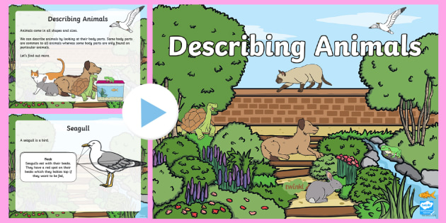 Describing Animals PowerPoint (teacher made) - Twinkl