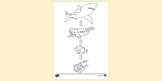 Food Chain Coloring Page | Easy Drawing Guides-saigonsouth.com.vn