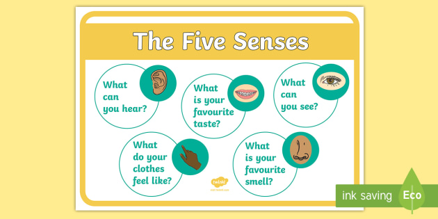 five senses feel