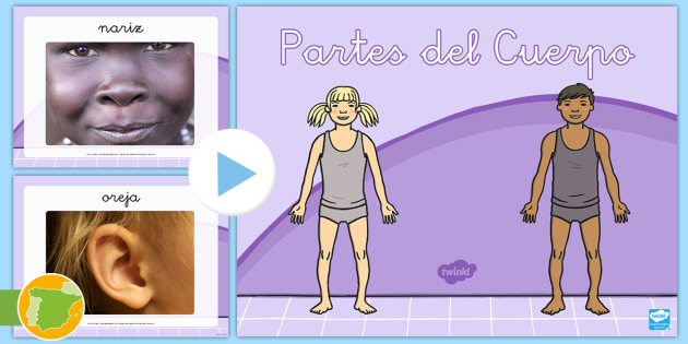 Presentacion Las Partes Del Cuerpo En Ingles