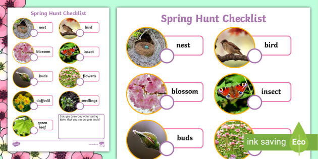 Spring Hunt Checklist | Photo Checklist (teacher made)