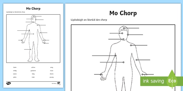 My Body Matching Activity Gaeilge (teacher made)