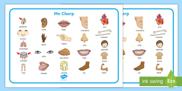 Mata Focail: Mo Chorp (Teacher-Made)