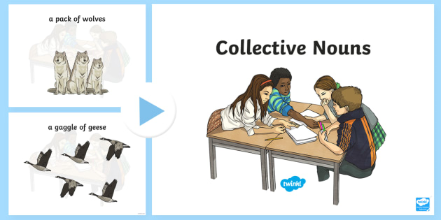 collective nouns powerpoint teaching resource twinkl