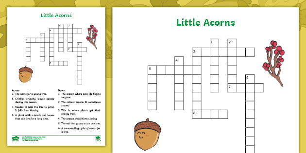 Little Acorns Crossword (teacher made)
