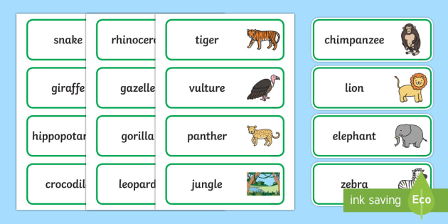 Word Cards to Support Teaching on Rumble in the Jungle