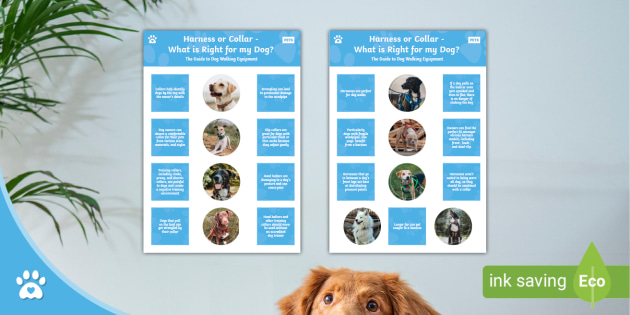 harness better than collar