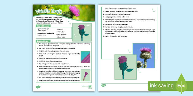 KS2 Thistle Craft Activity (teacher made)