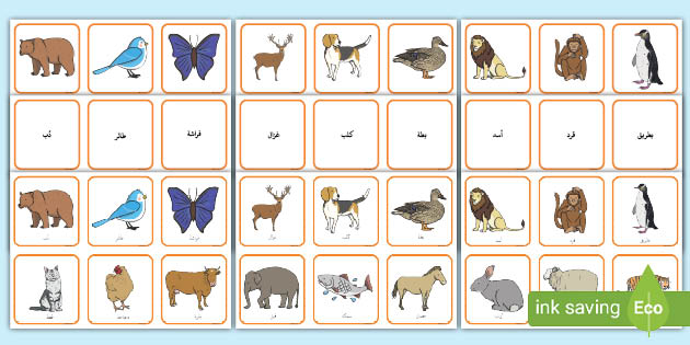 حنونة عبء رياضي  بطاقات مطابقة أسماء الحيوانات وصورها