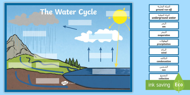 The Water Cycle Large Display Labeling Activity Arabic English