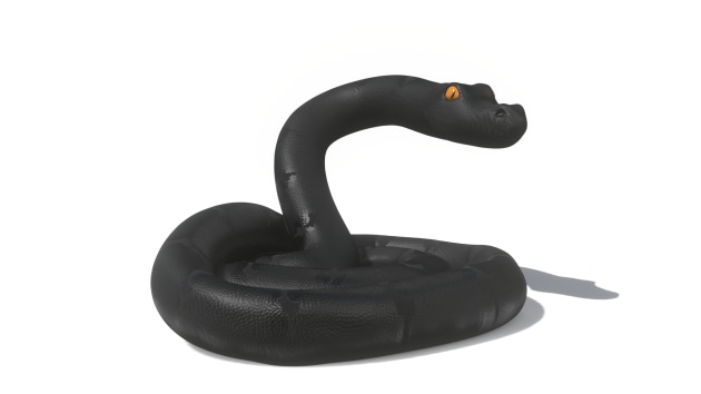 Python Augmented Reality (AR) Quick Look Model Educational Teaching ...