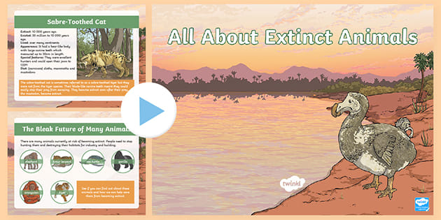 LKS2 All About Extinct Animals PowerPoint (teacher made)