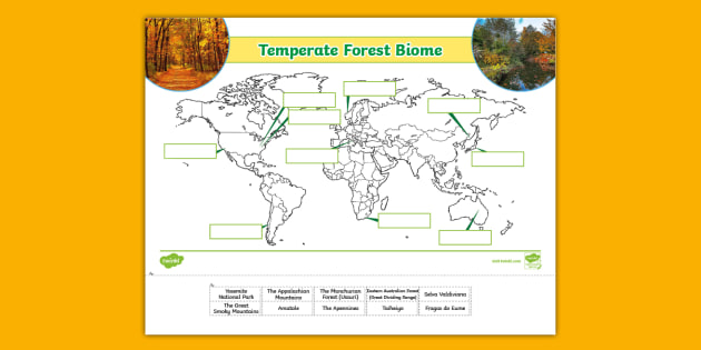 Temperate Deciduous Forest Map Us
