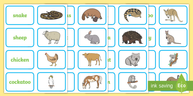 Under Eights Week: The Country Picture And Word Matching Cards-australia