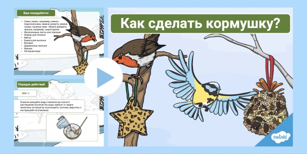 Презентация - Кормушка для птиц своими руками!