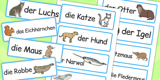 German Animals Word Cards (teacher made) - Twinkl German Animals Word Cards (teacher made) - Twinkl