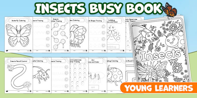 Insects Busy Book