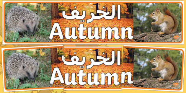 Autumn Photo Display Banner Arabic English