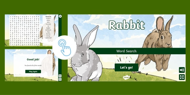 Rabbit Word Search (teacher made)