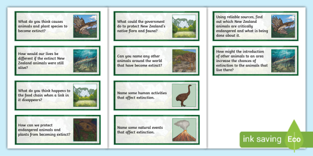 New Zealand Extinction Questions Prompt Cards | Twinkl