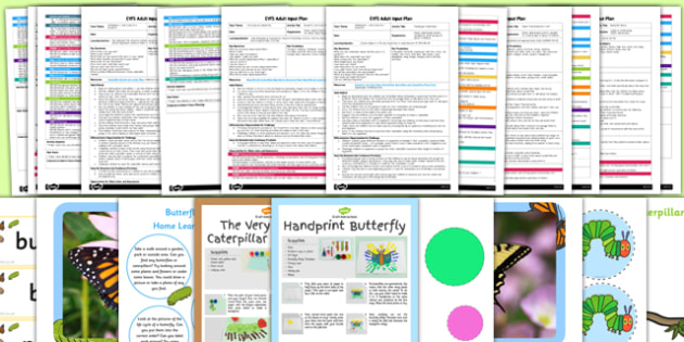 Eyfs Life Cycle Of A Butterfly Adult Input Planning And Resource Pack