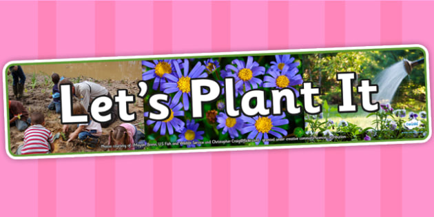 Lets Plant It Photo Display Banner Teacher Made