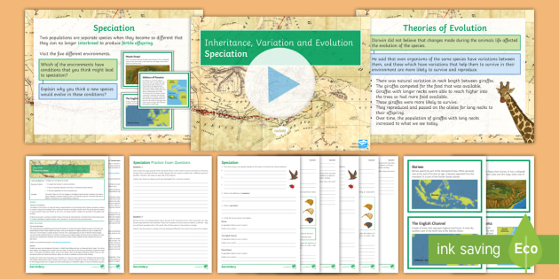 AQA Inheritance, Variation and Evolution Lesson 8: Speciation (Separate)