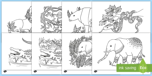 african animals mindfulness colouring pages teacher made