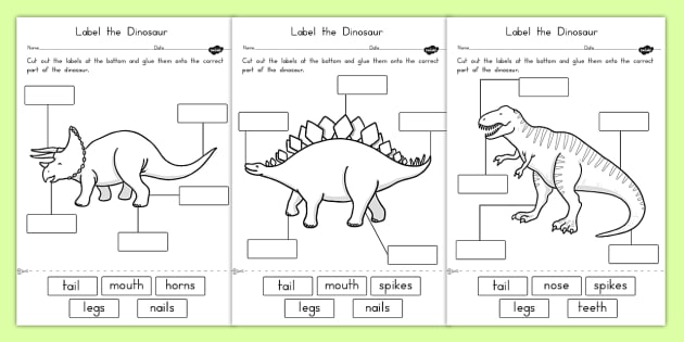 Label the Dinosaur Worksheets (teacher made)