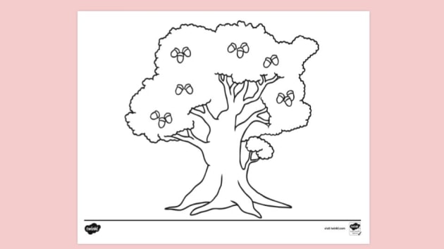 Free Printable Tree Colouring Colouring Sheets