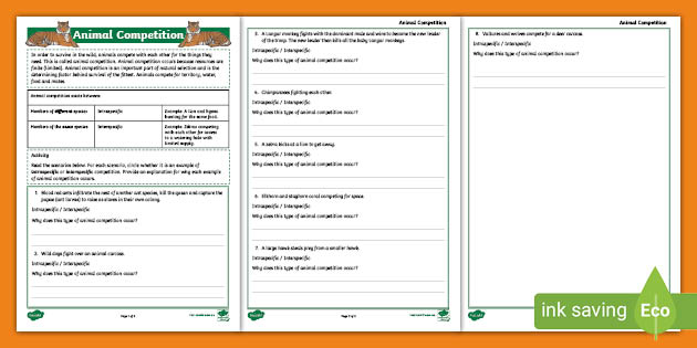 Animal Competition Activity Worksheets - Primary Resources