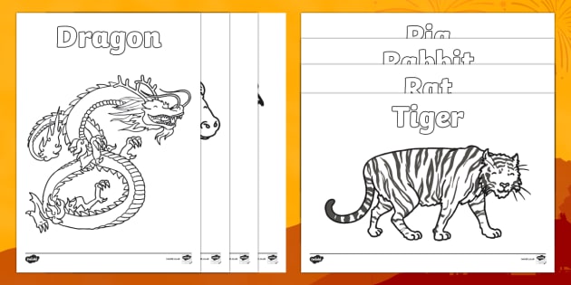 Featured image of post Animal Twinkl Colouring Pages Apes are primates that come in all shapes and sizes